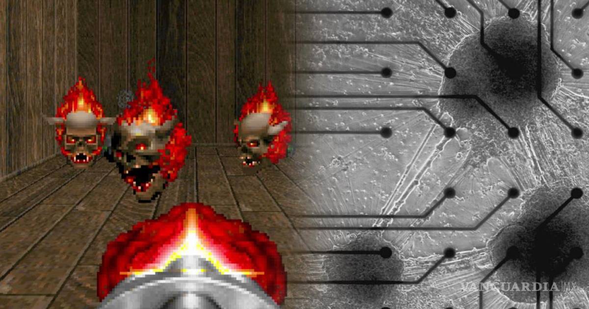 ¿Inteligencia Artificial?... Computadora hecha de tejido humano vivo aprendió sola a jugar Doom