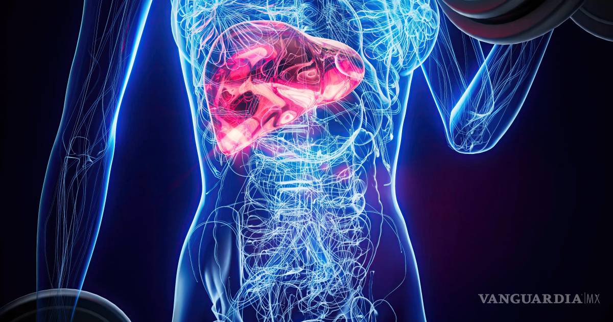 El hito del daraxonrasib: Un avance histórico contra el cáncer de páncreas