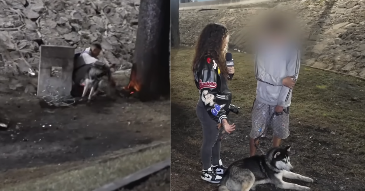 Su perro lo salvó: Joven en situación de calle narra cómo vivió la explosión en Iztapalapa donde perdió a tres amigos