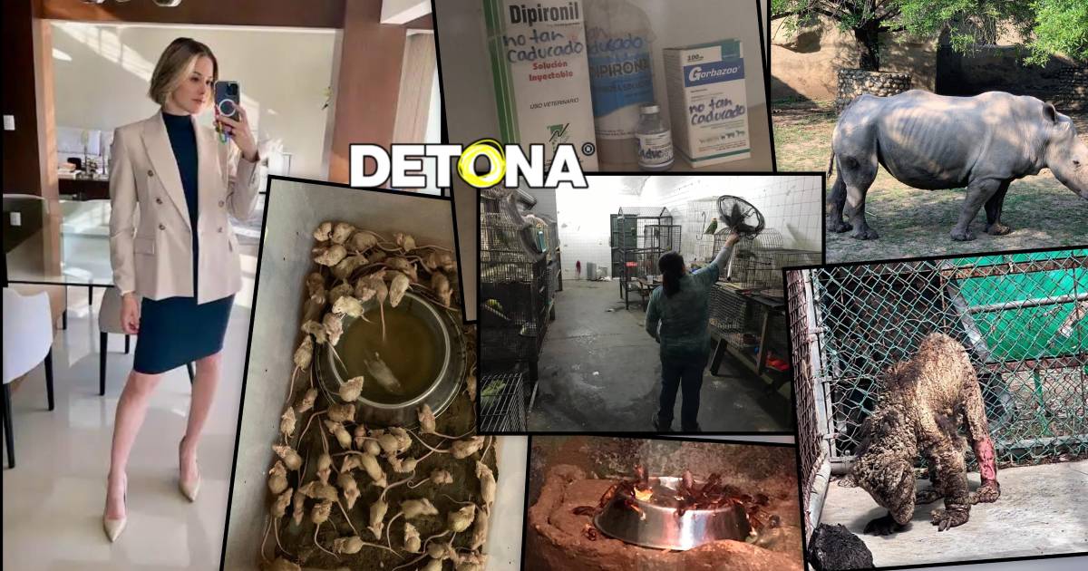 Agonía de La Pastora, cementerio de animales. Episodio 2