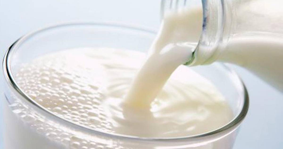 ¡Leche que no es leche!... Profeco lanza advertencia sobre producto que podría ser una imitación