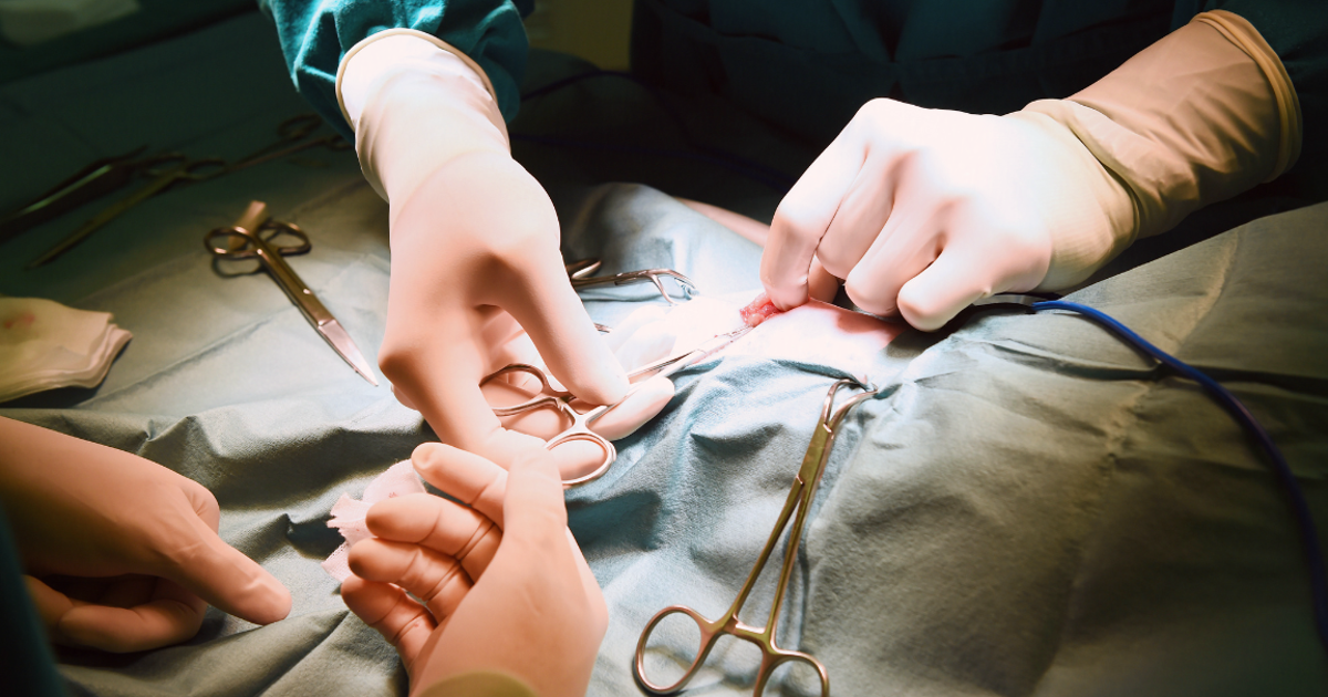 Proponen La Ley Nicole para prohibir las cirugías estéticas en menores de edad