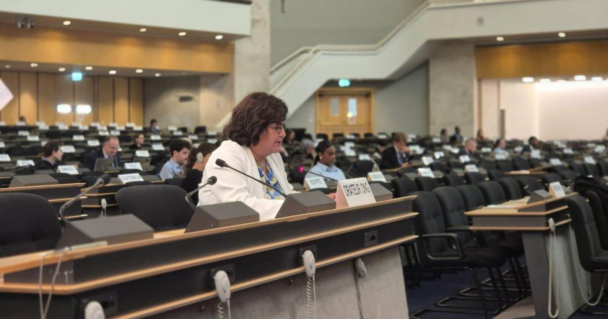 Desaparecidos: ante años de omisión, es tiempo que la ONU ponga presión