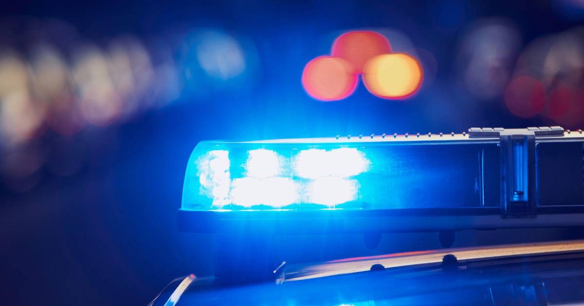 Hallan sin vida a síndico de San Pedro el Alto y su esposa en su domicilio; FGE investiga homicidios