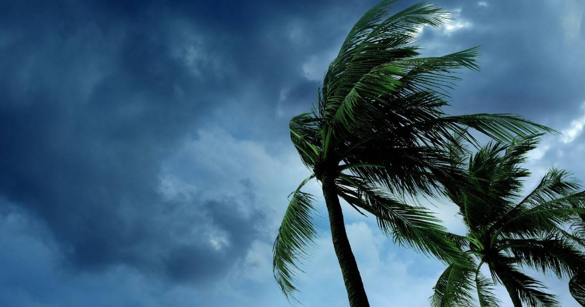 Priscilla pierde fuerza y se convierte en tormenta tropical; continúa en paralelo a Baja California Sur