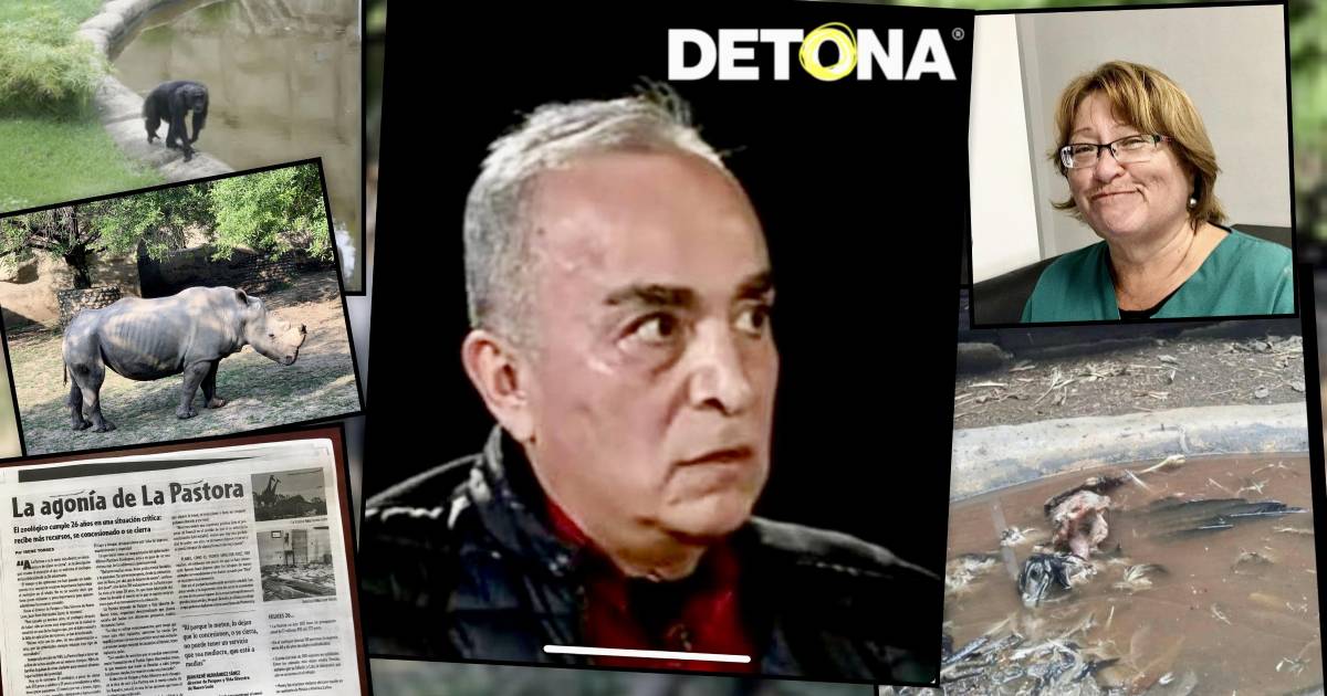 Pleito entre gobernador y alcalde, afecta imagen de NL en vísperas del Mundial FIFA 2026