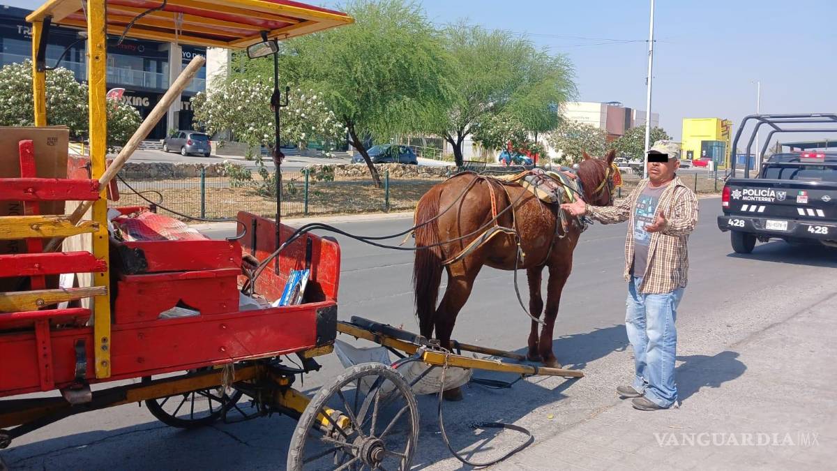 Carretonero es detenido por caso de maltrato animal en Monterrey, Nuevo León