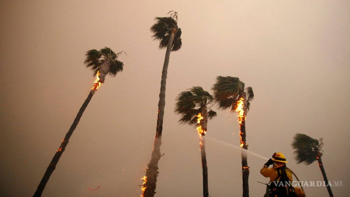 $!Aumenta a 42 número de muertos por incendio en California
