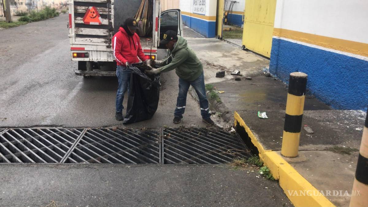 $!Cuadrillas municipales retiran basura y sedimentos de rejillas para favorecer el desalojo del agua.