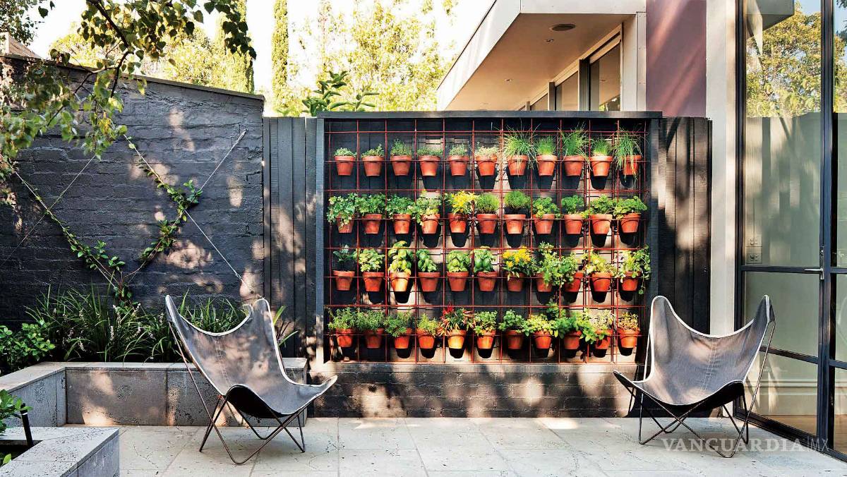 $!¿Te gustaría consumir productos naturales y cuidar el medio ambiente? ¡Haz tu propio huerto en casa!