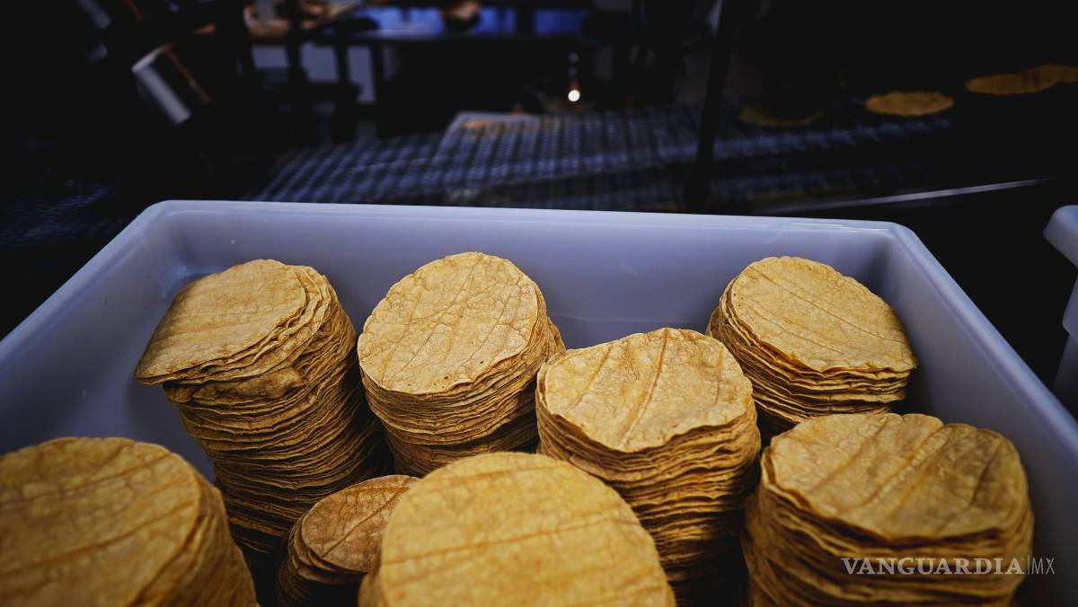 $!Profeco aclara multas por vender tortillas en hieleras o transportarlas en motocicleta