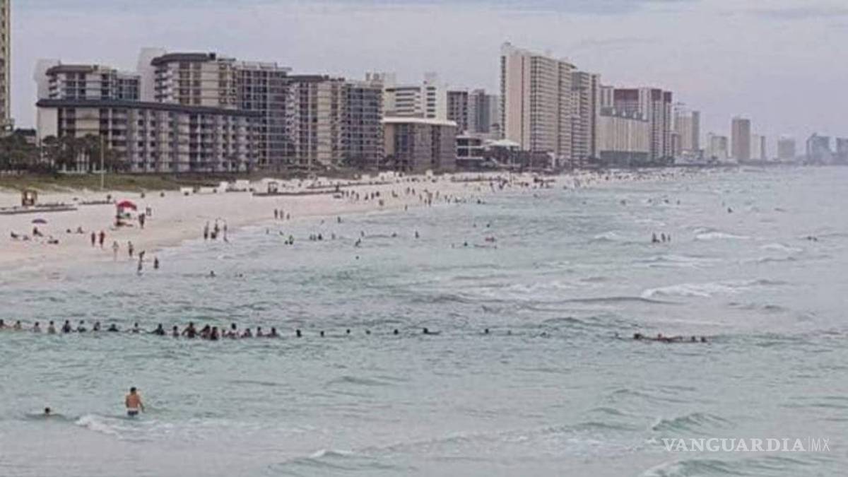 Cadena humana salva de morir ahogada a una familia en playa de Florida (video)