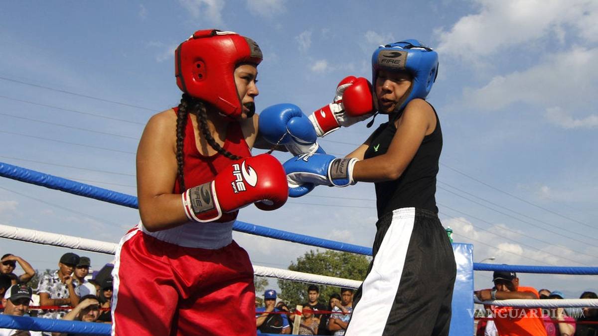 Auténticos Novatos vuelven al cuadrilátero ahora en la Valencia