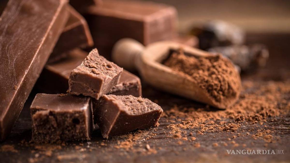 Se celebrará en México el Día Nacional del Chocolate
