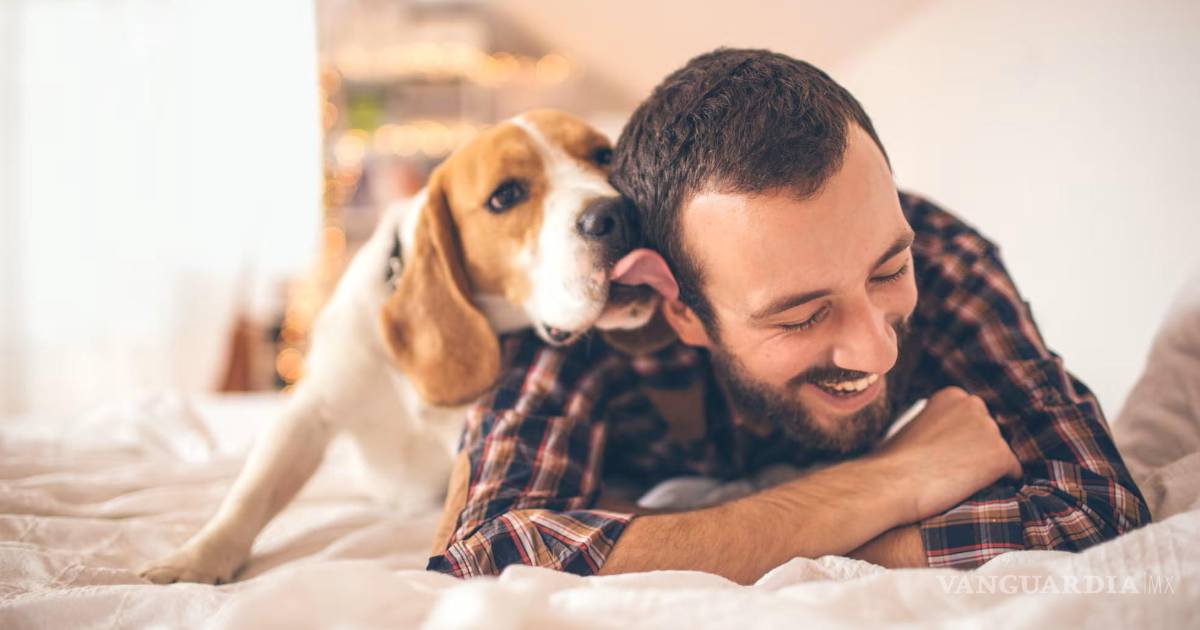 Recomiendan reforzar cuidados de mascotas para prevenir enfermedades zoonóticas en Acuña