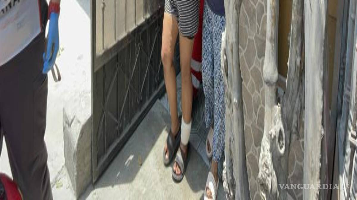 $!Vecinos del sector señalaron que los mismos perros ya habían atacado previamente a un menor, lo que generó preocupación entre los habitantes de la zona.