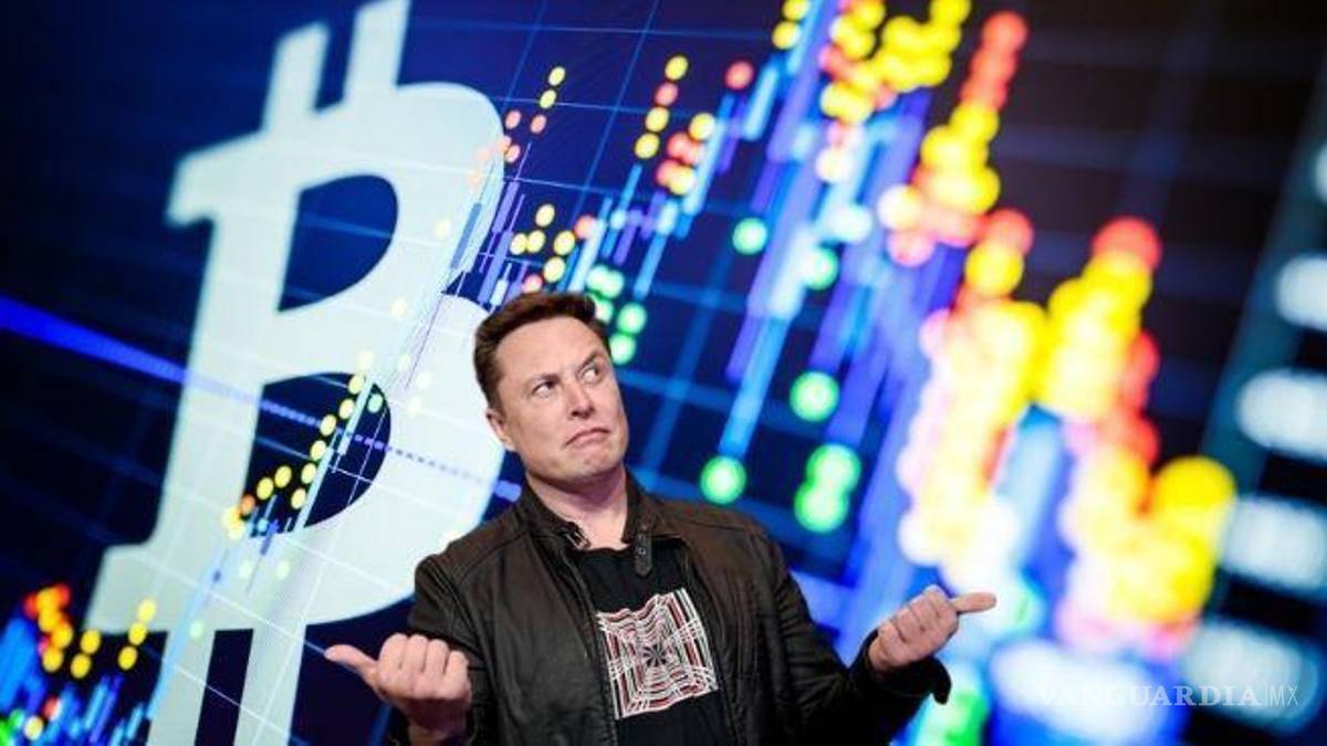 El ABC de las criptomonedas, ¿la economía del futuro?; una opción en las nuevas tecnologías