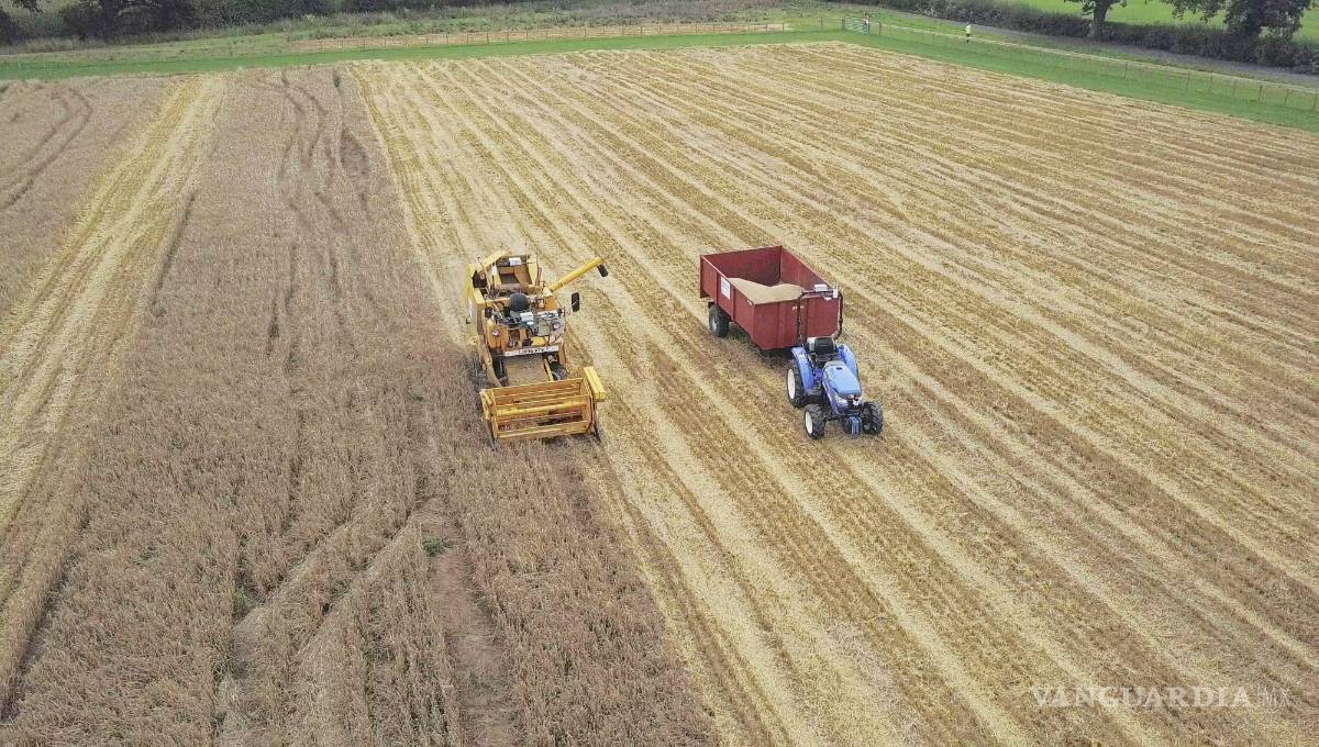 $!Hands Free Hectare , la primera granja automatizada