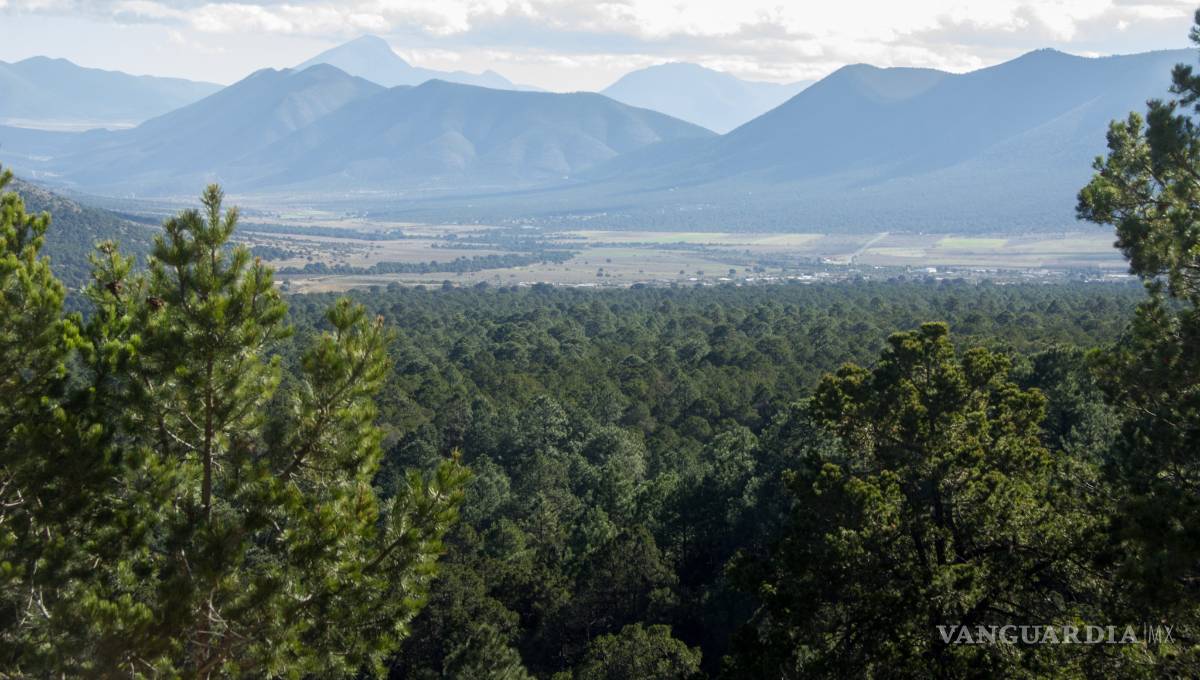 $!El camino del cuatro: cruzando Zapalinamé como hace 100 años