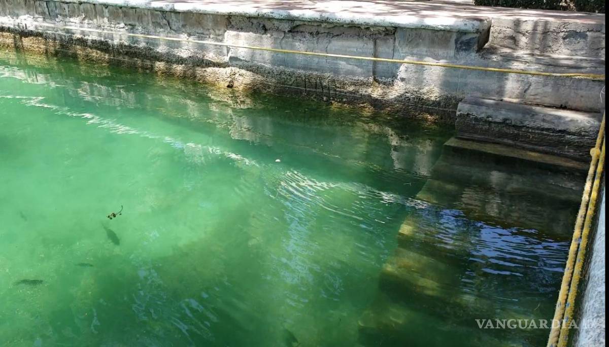 $!Este lugar es uno de los iconos más importantes del pueblo mágico, y la mayoría de los turistas se quedan sorprendidos al ver el agua cristalina.