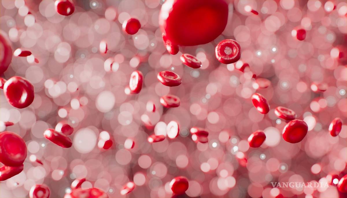 $!Los hombres de cualquier edad y las mujeres mayores de 50 años deberían consumir al menos 8 miligramos de hierro al día.