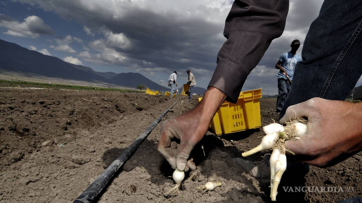 Ejercerá Seder 90 mdp en campo de Coahuila, a pesar de recorte presupuestal