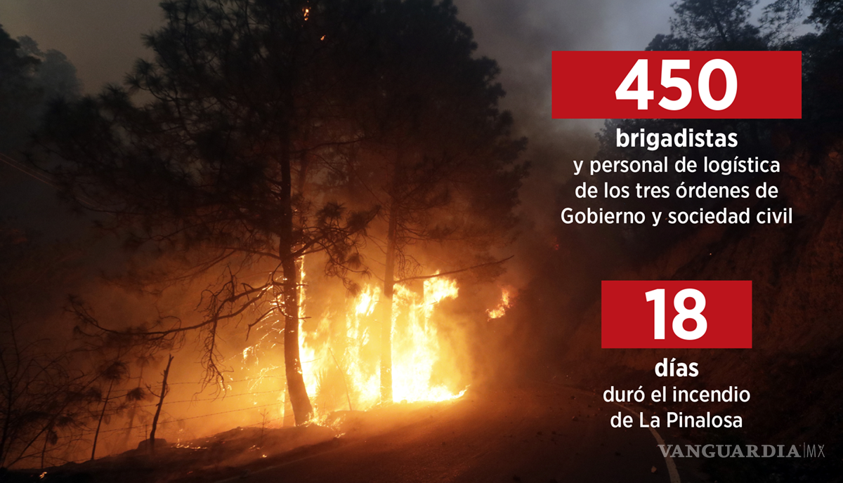 $!La Secretaría de Medio Ambiente estima décadas para que se recupere el bosque y, mientras tanto, a un año del siniestro, los sobrevivientes no logran recuperar su vida.