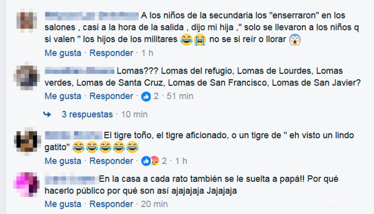 $!Tigre "suelto" causa polémica en Saltillo... era de peluche