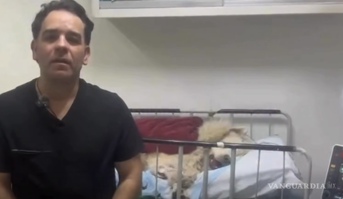 $!Usuarios en redes sociales pidieron evitar ataques contra Pets Care y permitir que continúe la atención médica del animal.