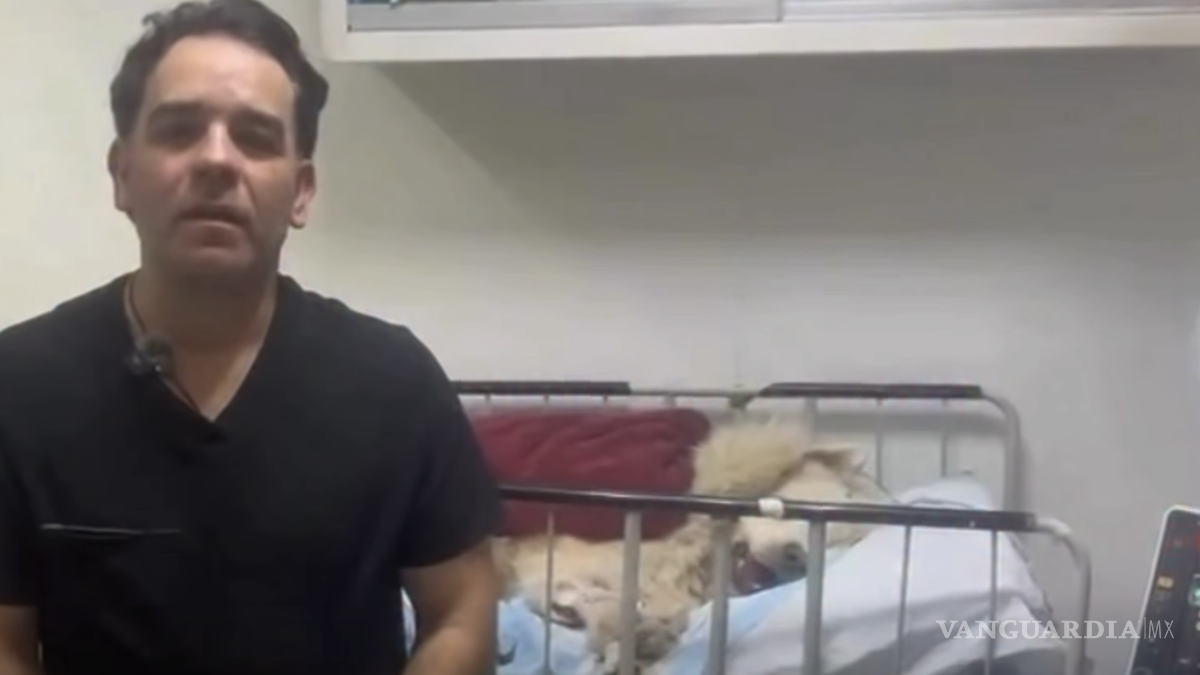 Ante dudas, Pets Care Saltillo publica videos de la llegada del perrito ‘Rocky’ a la clínica