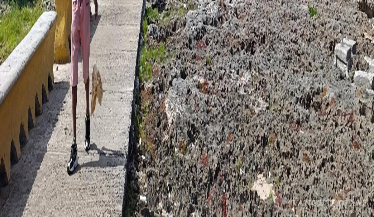 $!Una persona camina por una calle en La Habana. Las autoridades cubanas han presentado y aprobado en un tiempo récord el mayor paquete de reformas económicas en al menos 15 años