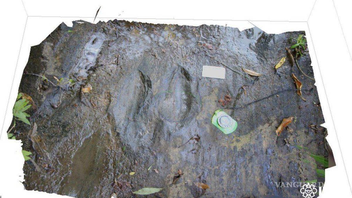 INAH halla 50 huellas de dinosaurio con 65 millones de años de antigüedad en Michoacán