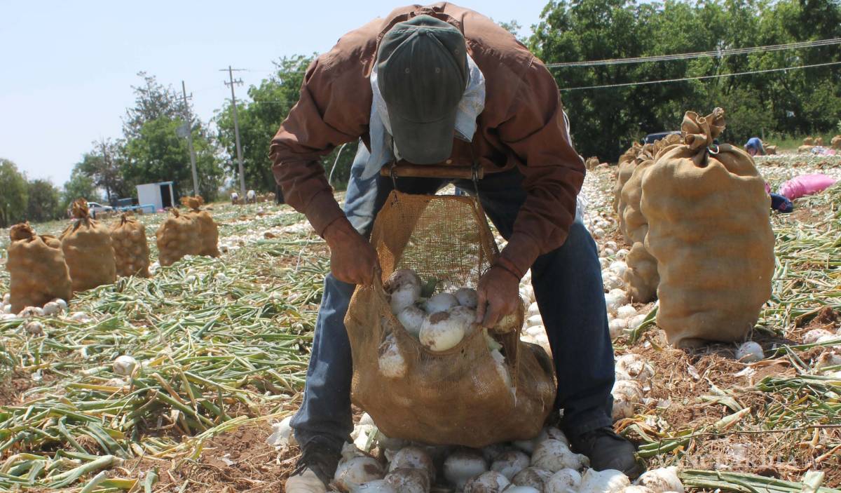 $!Un partido con visión: Toman bandera de Zapata para lograr el cambio en Coahuila