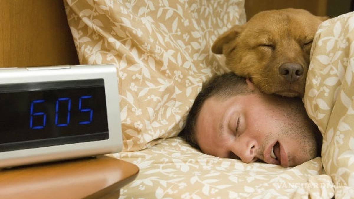 Kaizen, una técnica japonesa para combatir la flojera del lunes