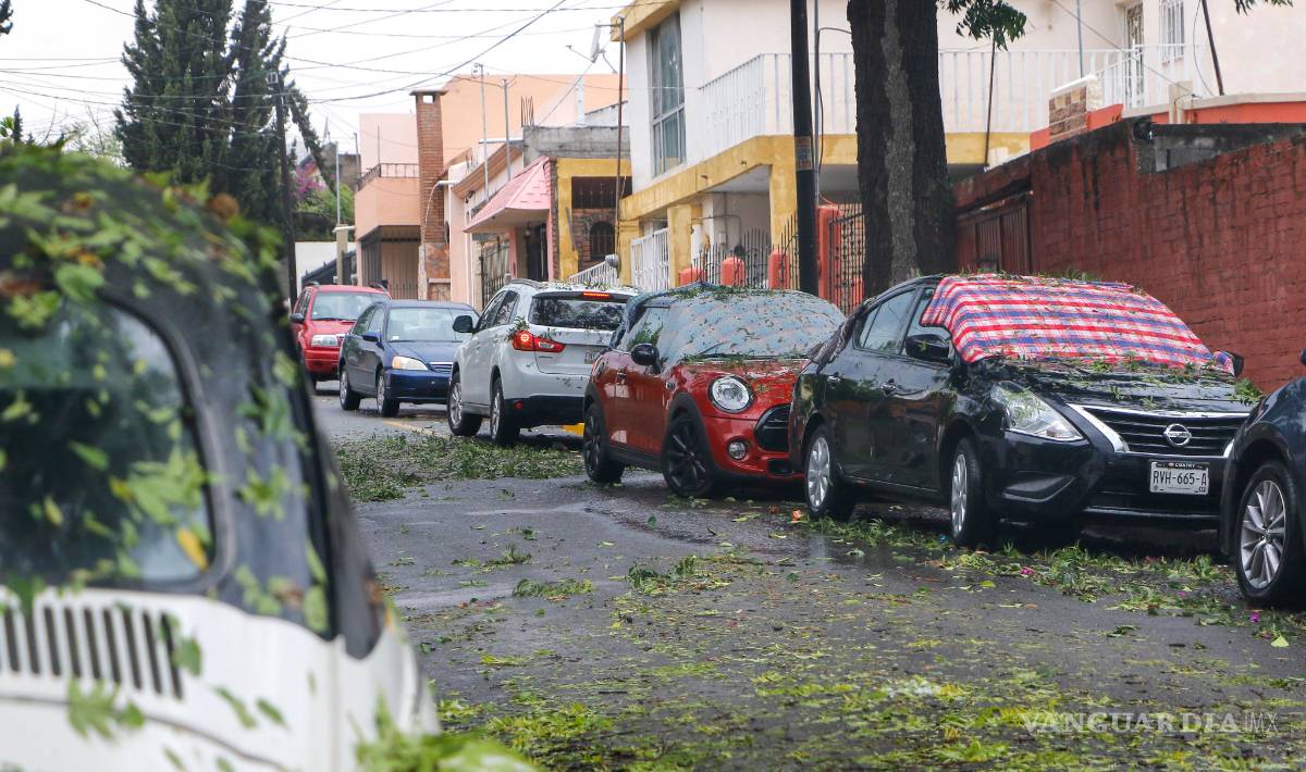 $!Las mejores imágenes de la granizada en Saltillo