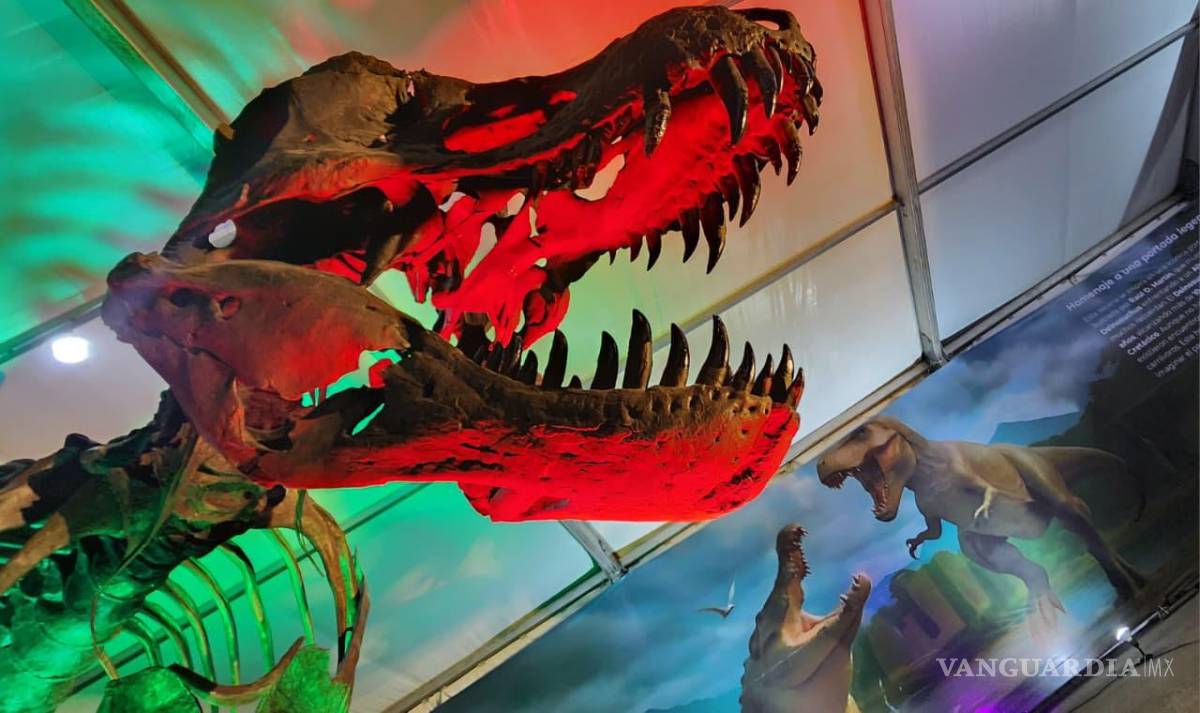 $!El Mude sigue promoviendo a Coahuila a través de sus exposiciones en la Ciudad de México, como ya lo hizo con “Dinos en Los Pinos” en 2023.
