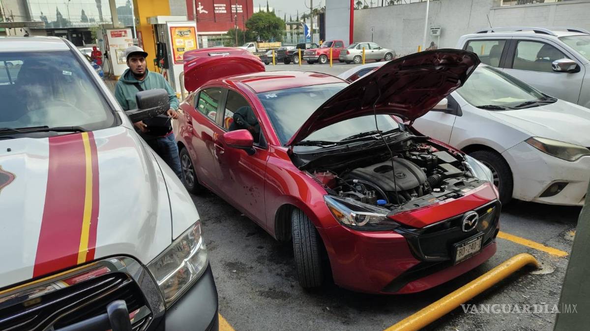 Saltillo: Rescatan a gato atrapado en motor de un auto; conductor lo adopta tras el susto