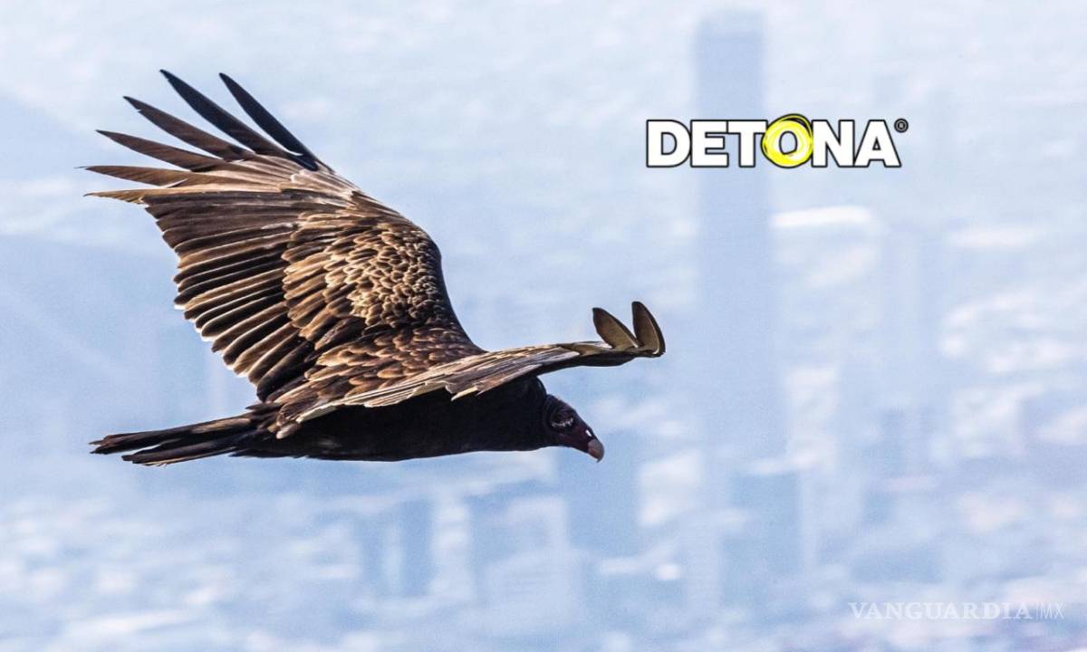 $!Esperando el Mundial FIFA 2026.