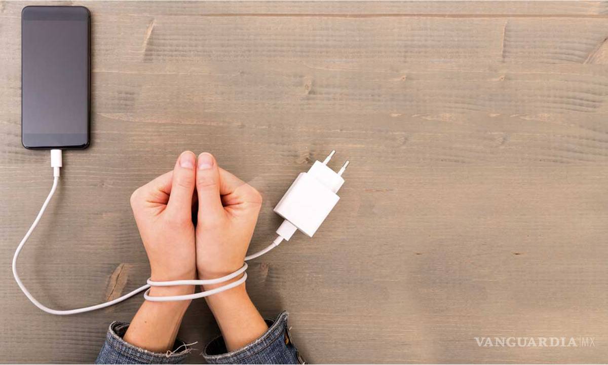 $!Ante el confinamiento, es hora de una desintoxicación digital… sabemos que todos lo necesitamos