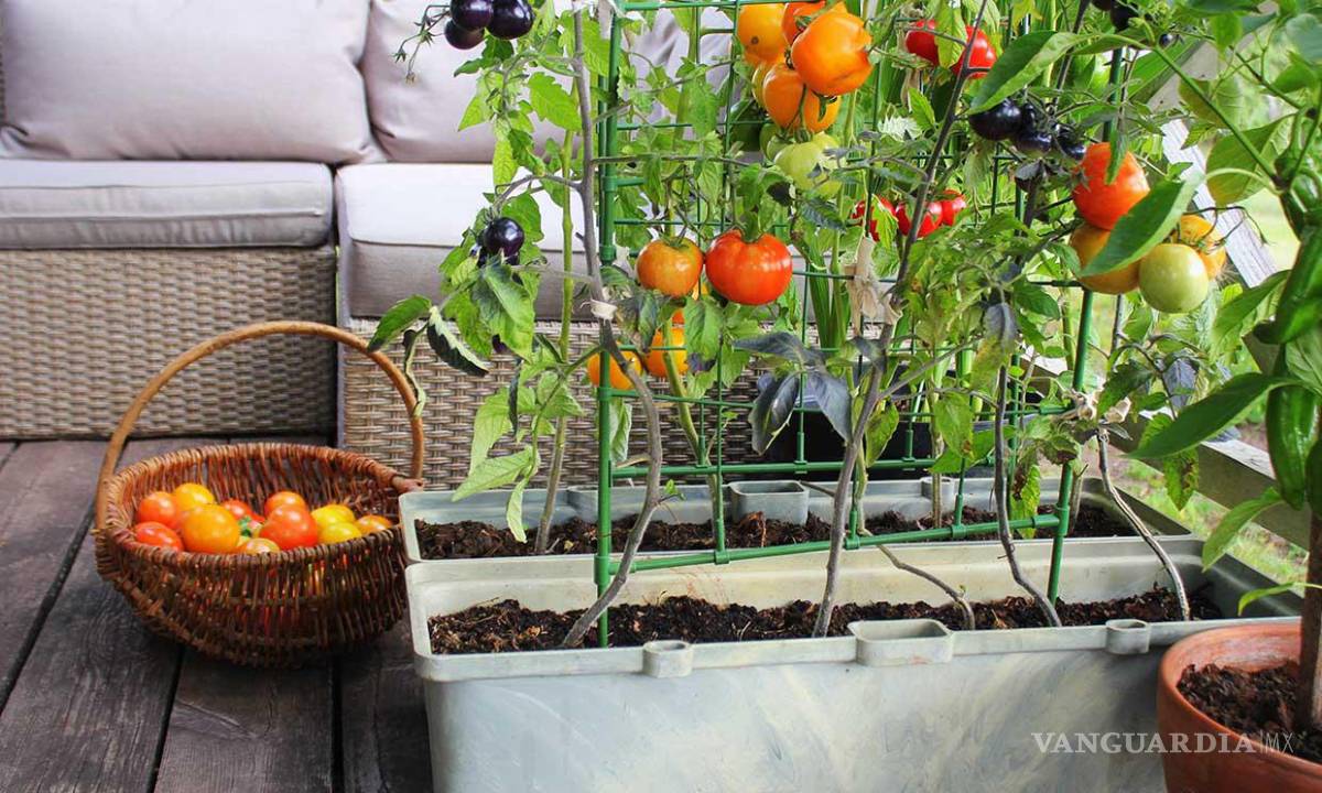 $!Dale nueva vida al espacio exterior de tu casa