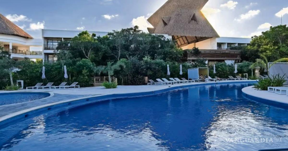 Registran pérdidas de 6 mmdp por Tren Maya y hoteles