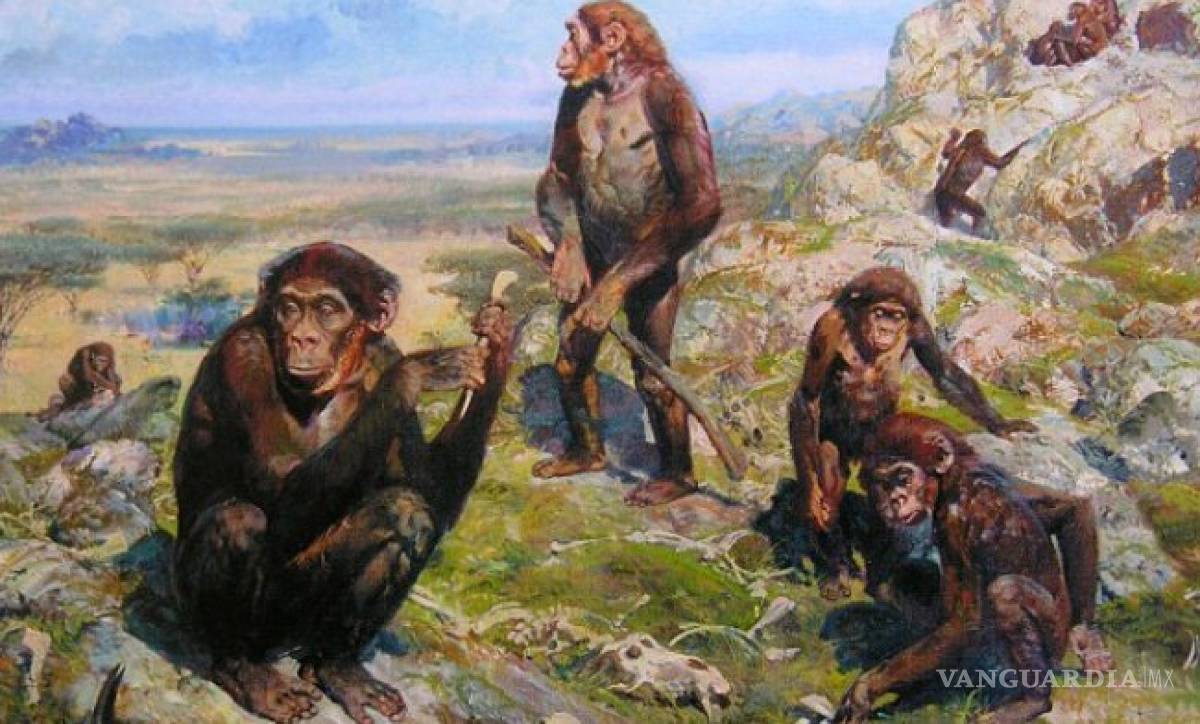 $!Misterios de la evolución