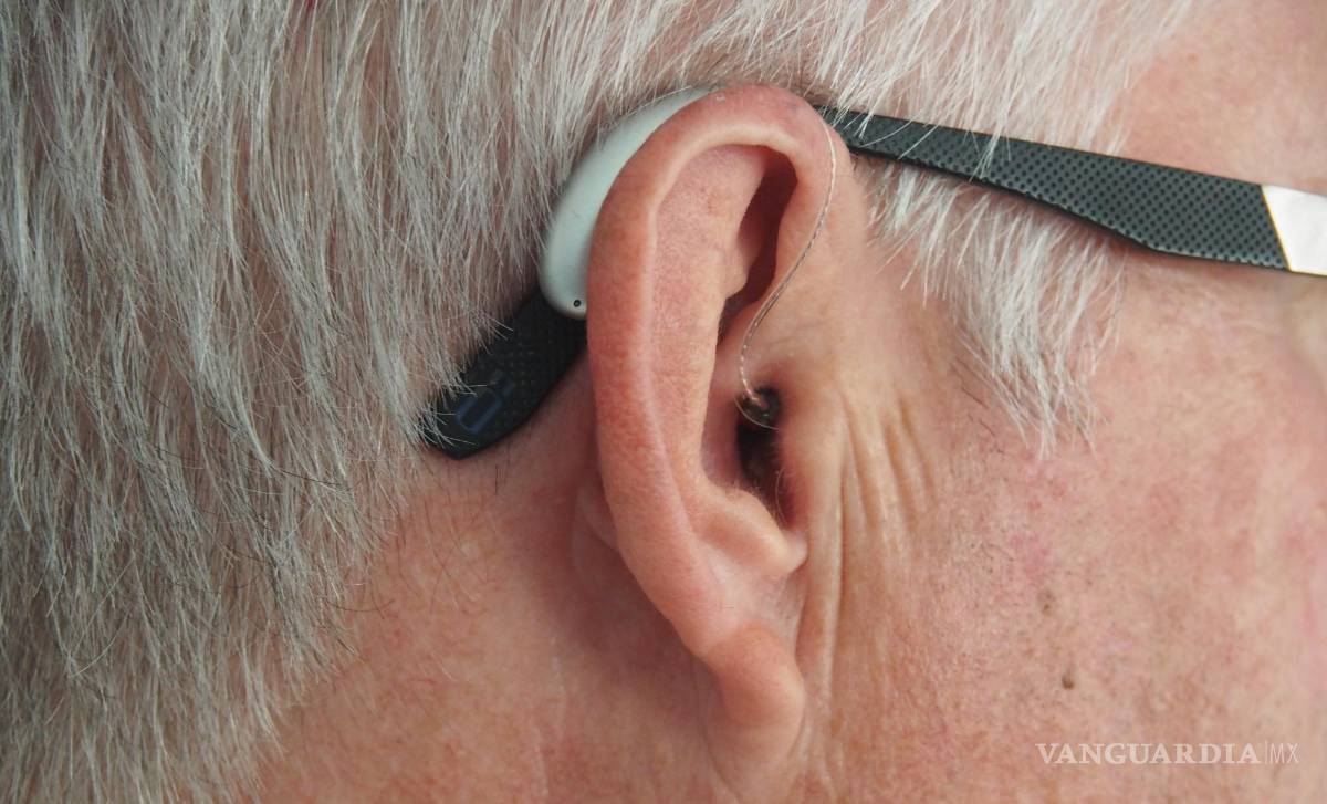 $!Si la amígdala experimenta un exceso crónico de actividad debido al ruido, las reacciones comienzan a producir efectos dañinos.