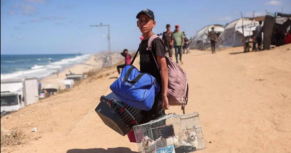 México abrirá sus puertas a niños palestinos; embajadora agradece apoyo de Sheinbaum y Noroña