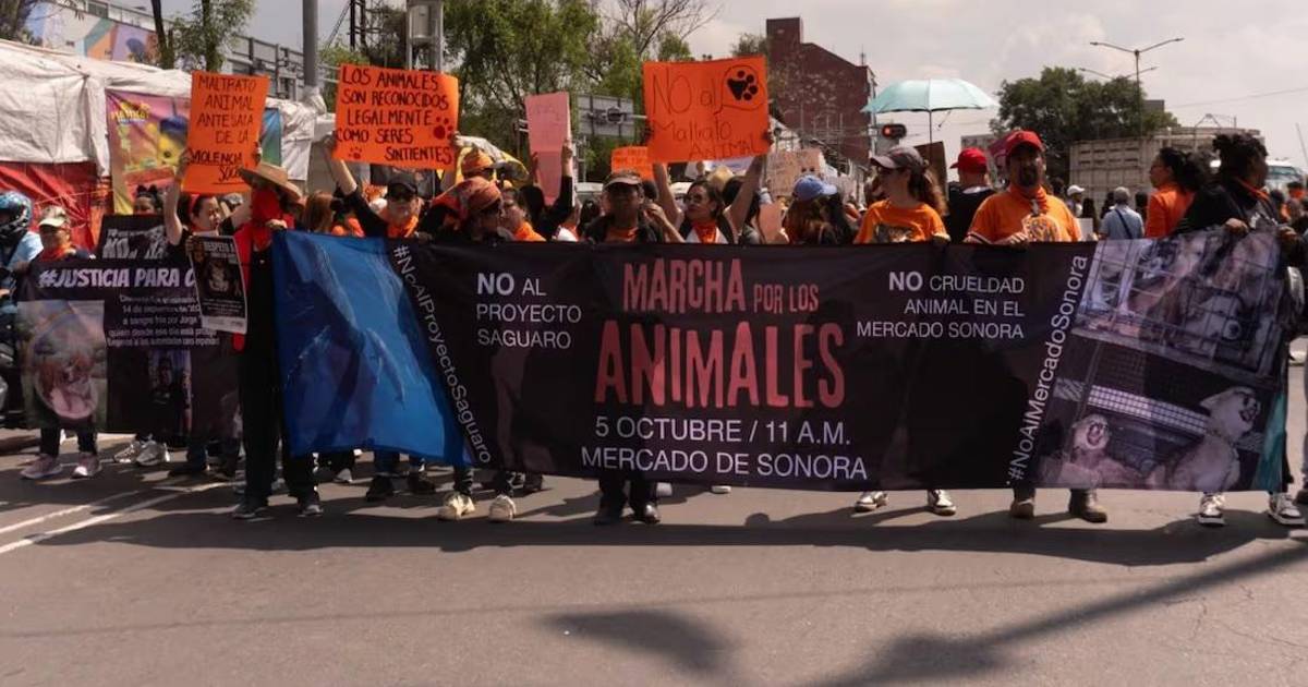 Animalistas marchan al Zócalo para exigir fin del maltrato y cierre del Mercado de Sonora