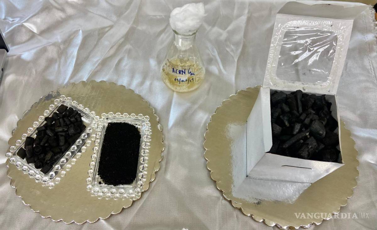 $!El biocarbón es uno de los proyectos del laboratorio donde se estudia el potencial para retener arsénico.