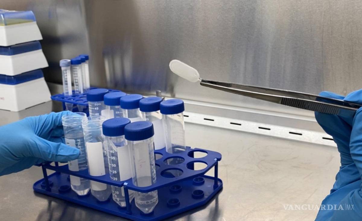 $!Dispositivo centinela en el Laboratorio del Dr. Timothy Kieffer. Foto de University of British Columbia.