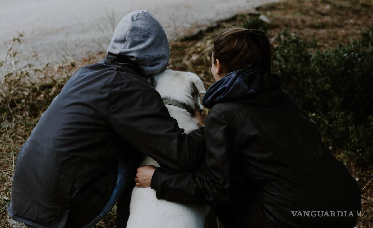 $!Se especifican las obligaciones de las personas responsables con relación a sus animales de compañía.