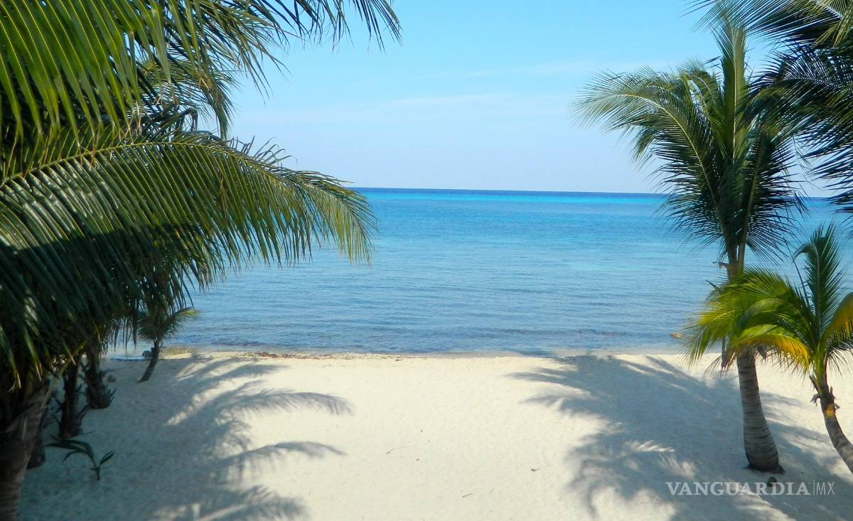 $!Roberto Borge, gobernador de Quintana Roo, se apropia de terrenos ejidales y desaparece contratos