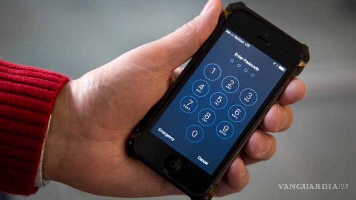 Pide Apple ampliar plazo en caso iPhone